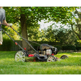 Troy-Bilt Tb100 Walk Behind Push Mower with Briggs and Straton Engine